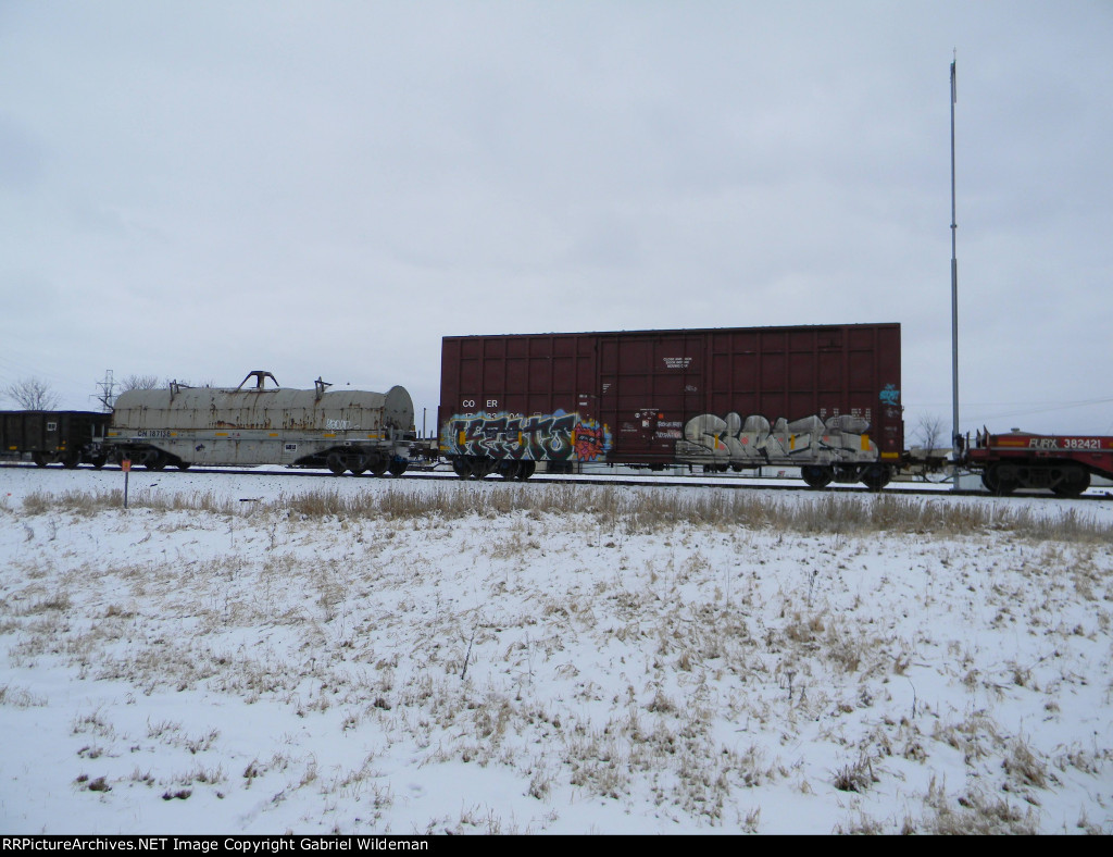 CN 187138 & COER 173304 are both new to RRPA!